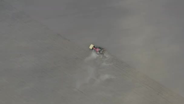 Powyżej widoku pola latającego na dronie podczas siewu wiosną, gdy traktor gąsienicowy mieli glebę kultywatorem — Wideo stockowe