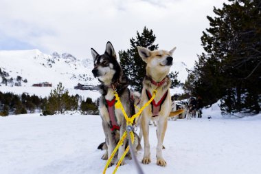 Grandvalira 'da lapa, Grau Roig, Anodrra