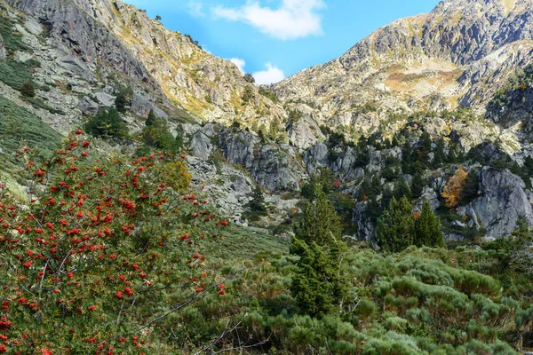 Herfst Vall Incles Andorra — Stockfoto