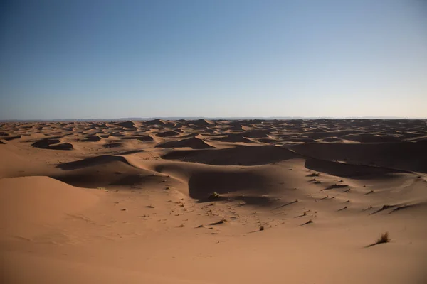 Wüste Von Sahara Marokko — Stockfoto