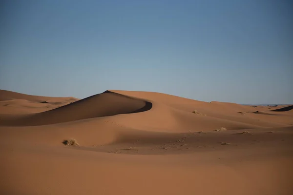 Desierto Del Sahara Marruecos —  Fotos de Stock