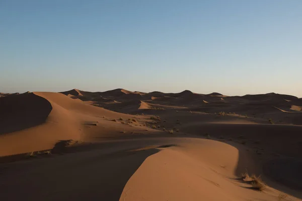 Wüste Von Sahara Marokko — Stockfoto