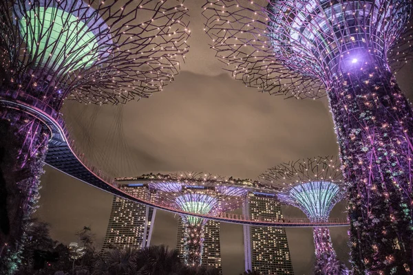 Körfezbahçeleri, Singapure