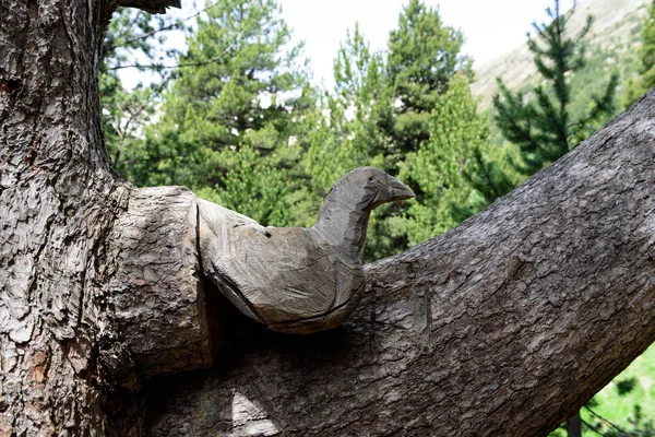 Mountanis Ransol Canillo Andorra — Stock Photo, Image