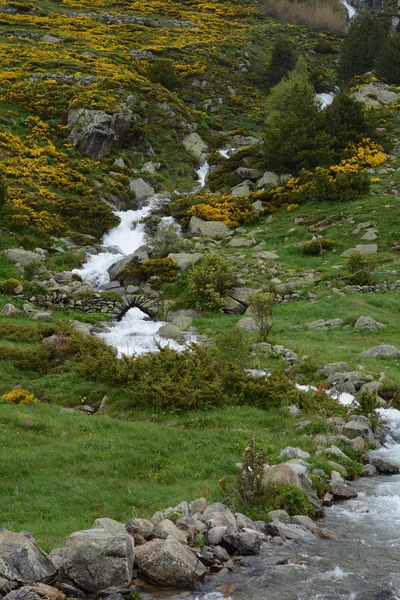 Fotograf Údolí Incles Canillo Andorra — Stock fotografie