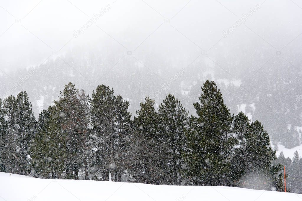 Snow Time in Grandvalira , Andorra