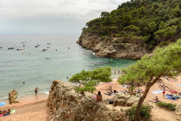 Cala Pola Tossa Mar Costa Brava Cataluña España —  Fotos de Stock