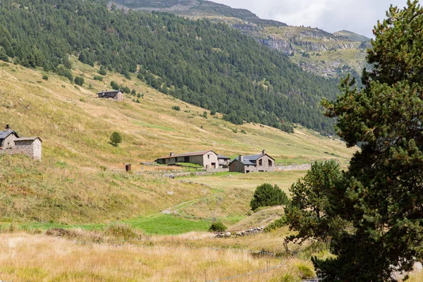 Léto Údolí Incles Andorra Vall Incles Andorra — Stock fotografie