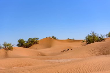Erg African, Sahara Çölü'tarık: 24 Ekim 2017: Bereber Morocco Sahara çöl.