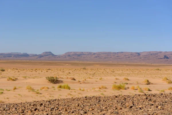 Sonniger Tag Der Erg Chebbiin Wüste Sahara Marruecos — Stockfoto