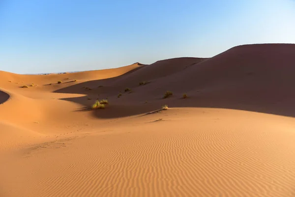 Wydmy Pustyni Sahara Maroko — Zdjęcie stockowe