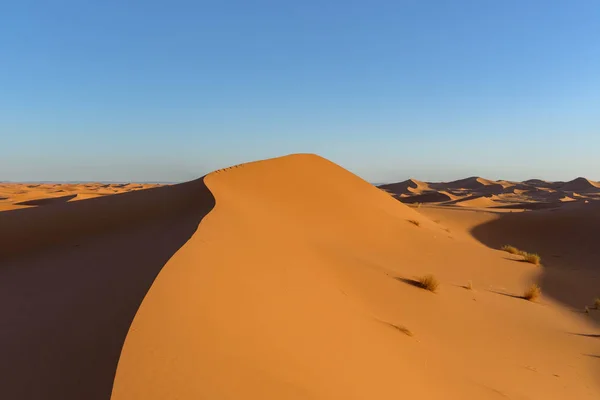 摩洛哥撒哈拉沙漠中的沙丘 — 图库照片