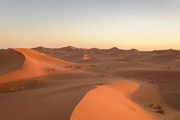 Dunes Sivatagban Szahara Marokkó — Stock Fotó