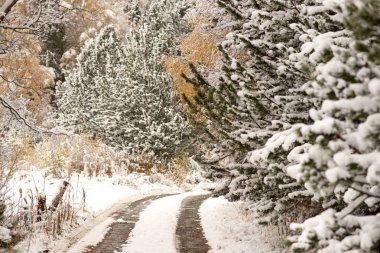 Beautiful path in the first autumn snow in Bordes de Envalira, Canillo, Andorra clipart