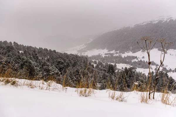 Primera Nieve Otoño Canillo Andorra — Foto de Stock