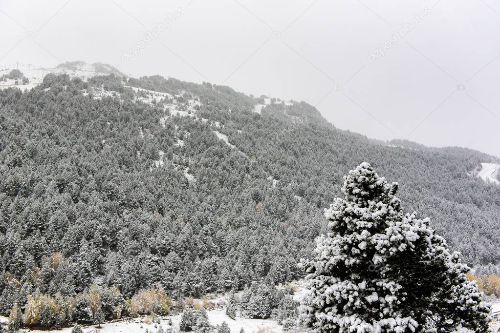 First snow in autumn in Canillo, Andorra.