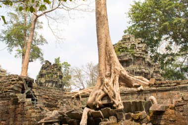 Angkor Wat, Kamboçya 'da bir tapınak kompleksi ve dünyanın en büyük dini anıtıdır. Siem Reap, Kamboçya. Sanatsal resim. Güzellik dünyası.