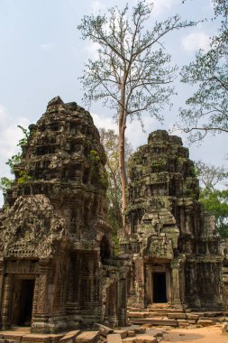 Angkor Wat, Kamboçya 'da bir tapınak kompleksi ve dünyanın en büyük dini anıtıdır. Siem Reap, Kamboçya. Sanatsal resim. Güzellik dünyası.