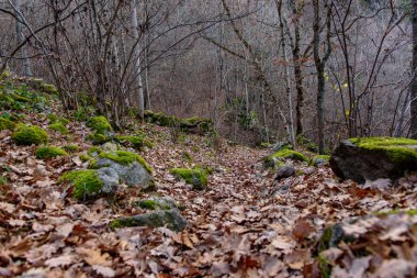 Merens-le vals, Arige, Occitanie, Fransa Sülfüre kaynakları.