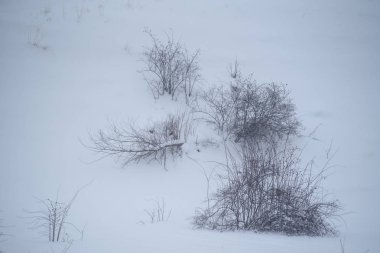 Canillo, Andorra: 2019 Şubat 01: Kışın Canillo kasabasında karlı bir gün doğumu. Canillo, Andorra