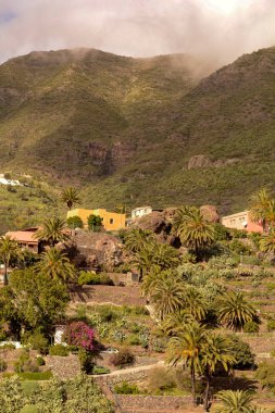 Tenerife, Kanarya Adaları, İspanya'nın tropikal peyzaj dağ köyü Masca