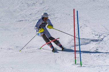 Kayak-Dünya Finalleri-slalom-men S fis Alpine Ski Dünya Kupası Fina