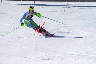 Kayak-Dünya Finalleri-slalom-men S fis Alpine Ski Dünya Kupası Fina