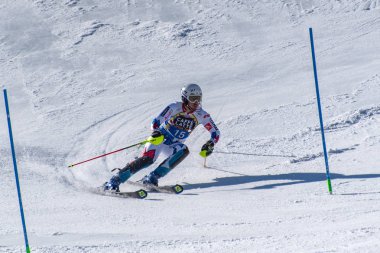 Kayak-Dünya Finalleri-slalom-men S fis Alpine Ski Dünya Kupası Fina