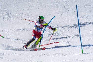 Kayak-Dünya Finalleri-slalom-men S fis Alpine Ski Dünya Kupası Fina