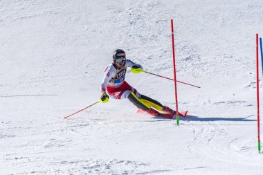 Kayak-Dünya Finalleri-slalom-men S fis Alpine Ski Dünya Kupası Fina
