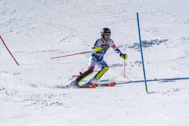 Kayak-Dünya Finalleri-slalom-men S fis Alpine Ski Dünya Kupası Fina