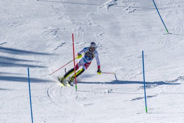 Kayak-Dünya Finalleri-slalom-men S fis Alpine Ski Dünya Kupası Fina