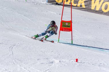 Kayak-Dünya Finalleri-slalom-men S fis Alpine Ski Dünya Kupası Fina