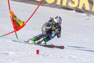 Kayak-Dünya Finalleri-slalom-men S fis Alpine Ski Dünya Kupası Fina