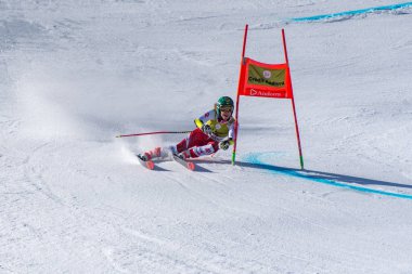 Kayak-Dünya Finalleri-slalom-men S fis Alpine Ski Dünya Kupası Fina