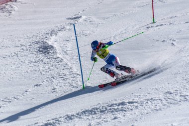 Kayak-Dünya Finalleri-slalom-men S fis Alpine Ski Dünya Kupası Fina