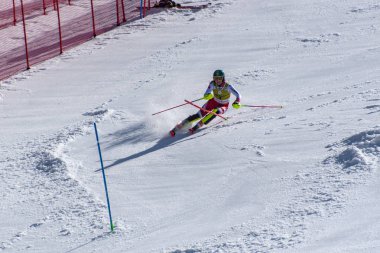 Kayak-Dünya Finalleri-slalom-men S fis Alpine Ski Dünya Kupası Fina