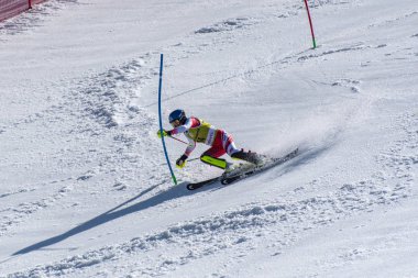 Kayak-Dünya Finalleri-slalom-men S fis Alpine Ski Dünya Kupası Fina
