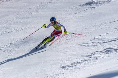 Kayak-Dünya Finalleri-slalom-men S fis Alpine Ski Dünya Kupası Fina