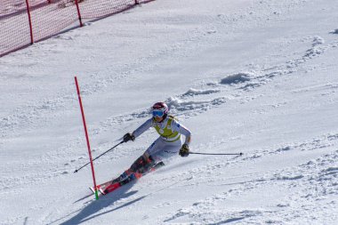 Kayak-Dünya Finalleri-slalom-men S fis Alpine Ski Dünya Kupası Fina