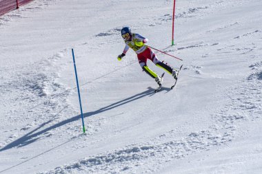 Kayak-Dünya Finalleri-slalom-men S fis Alpine Ski Dünya Kupası Fina