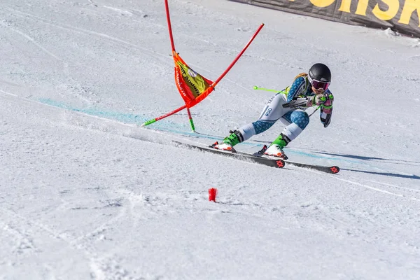 SKI-WORLD-FINALS- SLALOM - Мужчины, кроме FIS Кубок мира по горнолыжному спорту Fina — стоковое фото