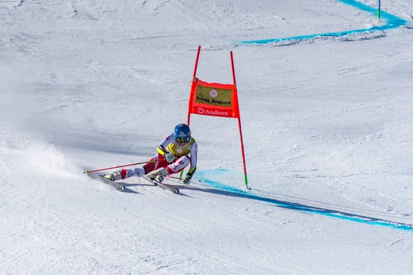 Lyže World finále Slalom - muži S Fis Alpine Ski World Cup Fina — Stock fotografie