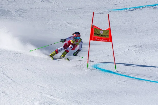 Lyže World finále Slalom - muži S Fis Alpine Ski World Cup Fina — Stock fotografie