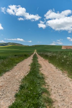 La Rioja, İspanya Ciruena ve Santo Domingo de la Calzada arasında St James, Camino de Santiago yolunda Güzel tarım manzara