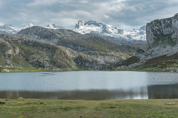 Jezera Covadonga Národním Parku Picos Europa Asturias Španělsko — Stock fotografie