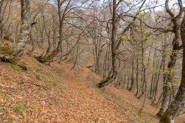 Fuente De köy Cantabria İspanya 'nın yanındaki Picos de Europa dağları