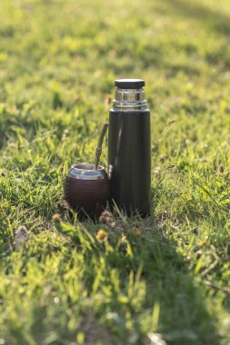 İkinci kaptan Uruguay, Arjantin, Paraguay ve Brezilya 'dan su içiyor. Modern mat rengi kahverengi.