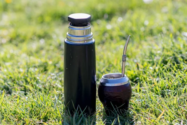 Mate drink из Уругвая, Аргентины, Парагвая и Бразилии. Мод — стоковое фото