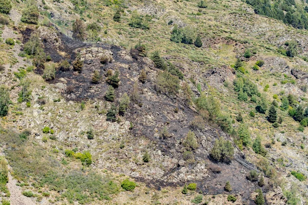 Oblast, kde byl požár na La Costa Mountain v Canillo, — Stock fotografie